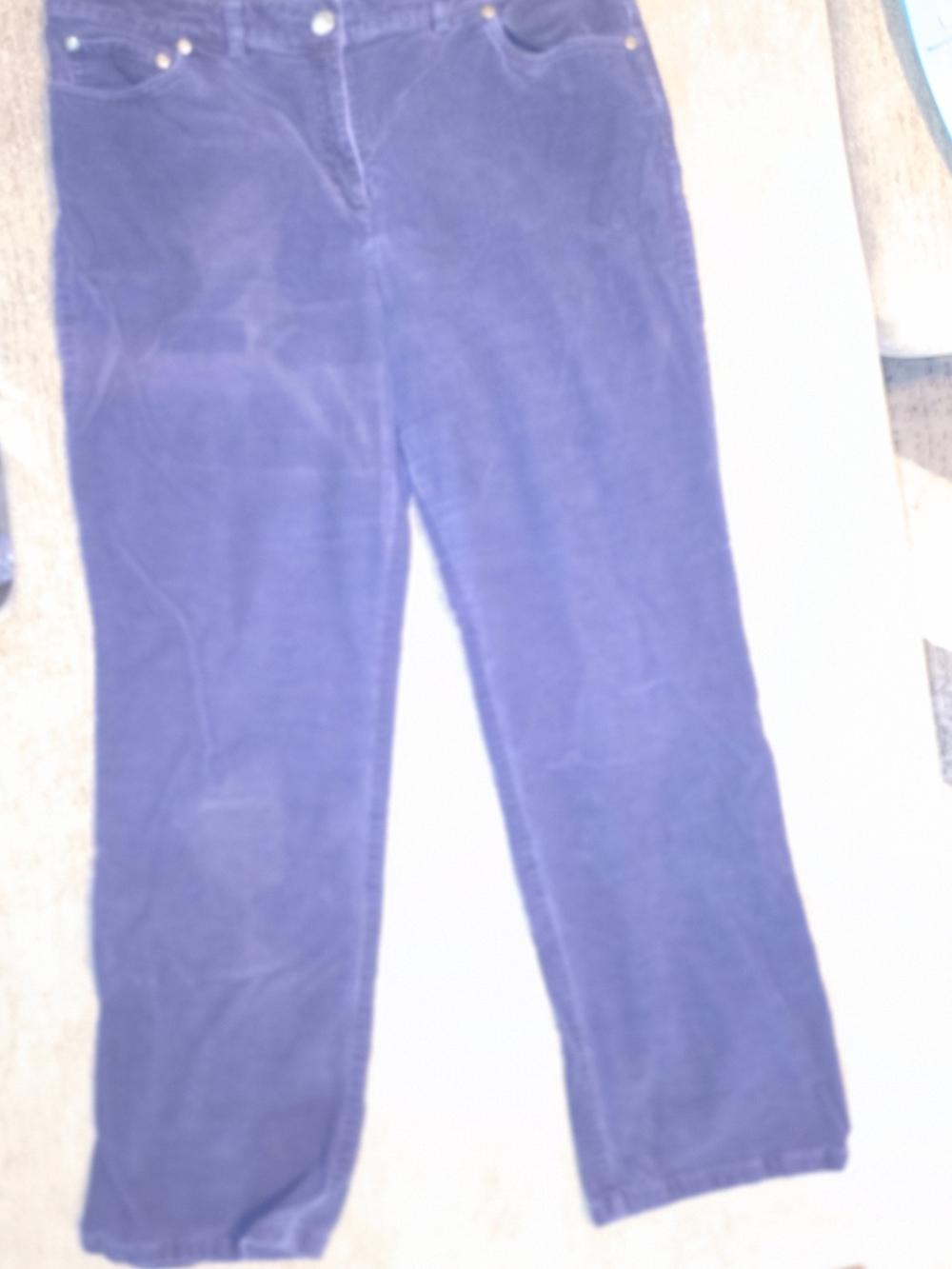 Brooks Brother's Corduroy Pants in Dark Blue 346 Size 12